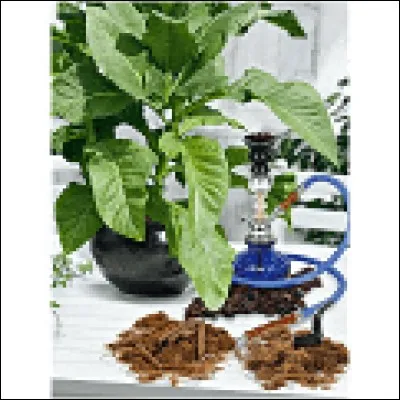 Quel nom porte la roche feldspathique et micacée qui entre dans la composition de la porcelaine à pâte dure et qu'on ne trouve qu'en Chine ?