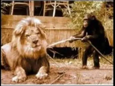 L'outil de verrier qui sert à remuer la matière dans les pots est appelé