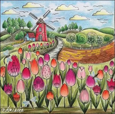 Avec combien de pays, les Pays-Bas sont-ils frontaliers ?