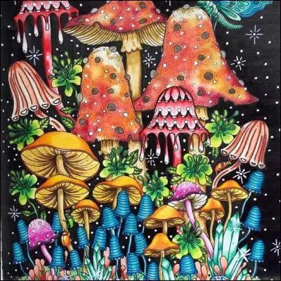 Lequel de ces champignons comestibles pousse au mois de mars ?