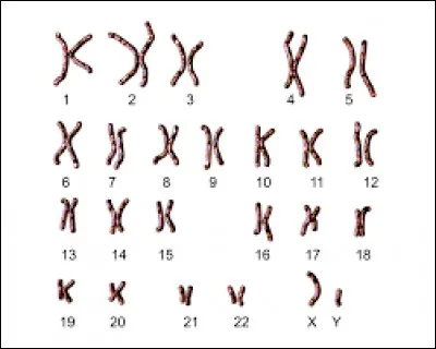 Quelle est la bonne orthographe ?