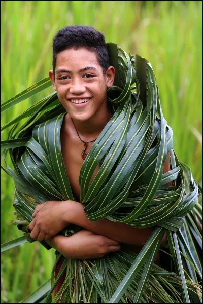 Des gens adorables qui vivent près d'une belle forêt tropicale. A. Khimushin dans ''World in Faces'', nous les a montrés proches de la nature, centrés sur les traditions polynésiennes séculaires comme la vie dans les champs, la communauté, le village et l'église.
Sur quelle grande île volcanique avec des plages de rêve, vit cet enfant d'une culture différente où tout est simple et tranquille ?