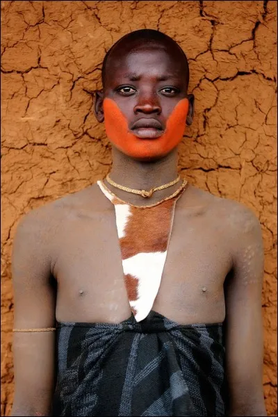 En 2011, le gouvernement a entrepris de céder leurs terres fertiles de la région du fleuve Omo. On les a expulsés : leurs réserves céréalières, leurs ruches et leurs pâturages ont été détruits. Ils ont été informés qu'ils devaient renoncer à leurs troupeaux, leur moyen de subsistance et ne conserver que quelques vaches puis, dépendre des subsides pour vivre.
De quelle tribu s'agit-il ?