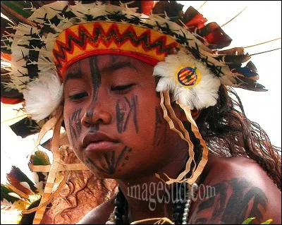 Photo d'Elisabeth Hurtel chez ImageSud : Portraits de Femme du Monde. La culture et la tradition leur sont une composante importante qu'on peut voir lors de Festivals appelés ''Sing Sing''' avec danses et musiques, le folklore et les cérémonies coutumières comme moyens d'expression.
La photo porte le nom ''Jeune danseuse d'Océanie '', de quelle région provient-elle ?