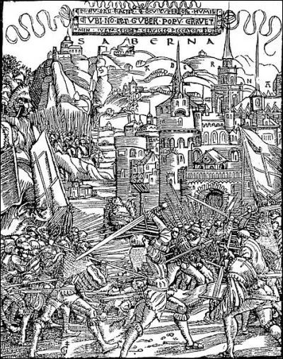 Mais la révolte se propage et s'organise : le même jour (15 avril 1525), toute une région s'enflamme du nord au sud, avec plusieurs dizaines de milliers d'insurgés. Laquelle ?