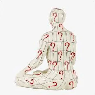 Quelle est la fonction principale de la moelle &eacute;pini&egrave;re ?