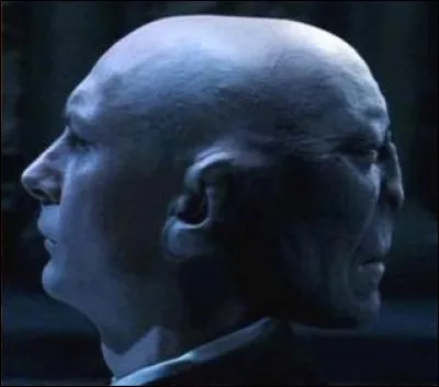 Qui se cache derrière le professeur Quirrell ?
