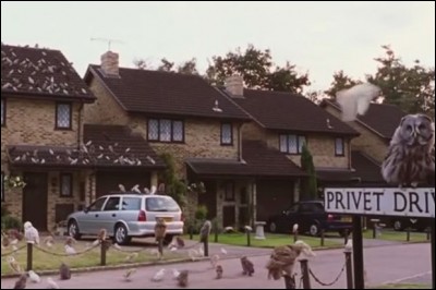 Qui transporte Harry jusqu'à Privet Drive ?