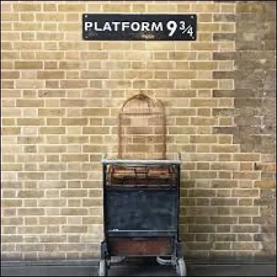 Comment s'appelle la famille de sorciers qu'Harry rencontre à la gare de King's Cross ?