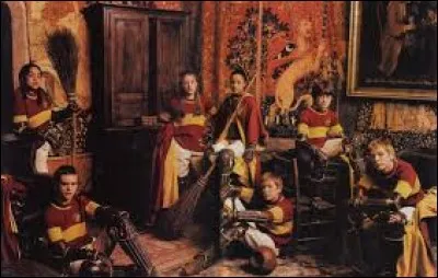 Comment s'appelle le capitaine de l'équipe de quidditch de Gryffondor ?