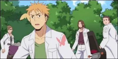 Ce gang est celui de Chio.