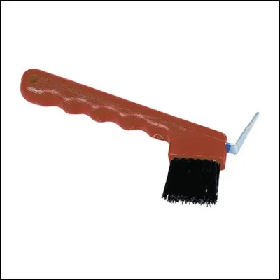 Comment se nomme cet élément du pansage ?