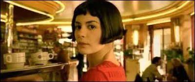 Dans le film "Le Fabuleux Destin d'Amélie Poulain", comment s'appelle le café ou Amélie est serveuse ?