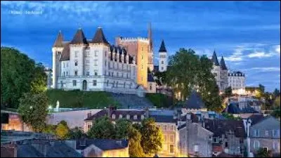 Comment appelle-t-on les habitants de la ville de Pau ?