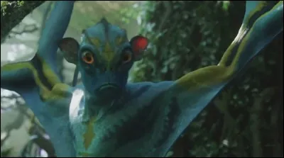 Si vous trouvez la bonne réponse, ce n'est pas en rose que vous verrez la vie !