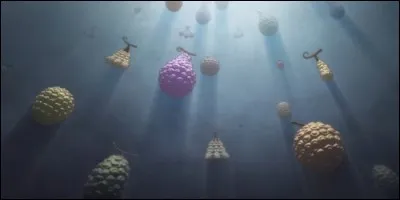 Dans "One Piece", qui possède le fruit de l'invisibilité ?