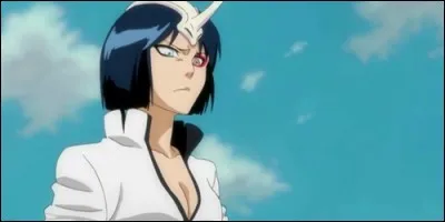 Dans "Bleach", Apache est un des fraccion de :