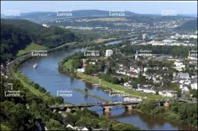 Vrai ou faux : la rivière Moselle ne traverse pas le département des Vosges.
