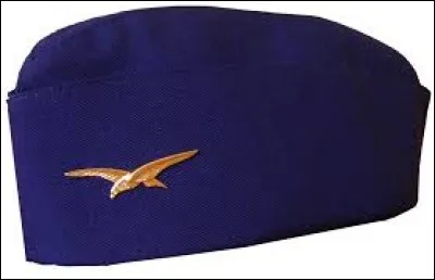 Que voyez-vous sur cette image ?