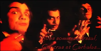 2005 > Depuis septembre, il est possible d'en référer aux forces de l'ordre pour évacuer un "camp jugé illégal". En novembre, une autre mesure est prise : laquelle ?