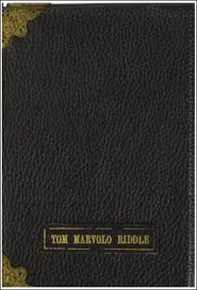 Qui se trouve en possession du carnet de Tom Jedusor ?