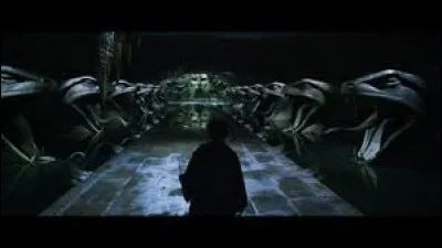 Qui Harry retrouve-t-il à l'intérieur de la chambre ?