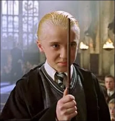 Harry rencontre son ennemi dans son magasin, mais quel est le nom de celui-ci ?