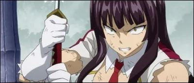 (Épisode 165)
À part Kagura, qui, aux GJIM, veut aussi la mort de Jellal ?