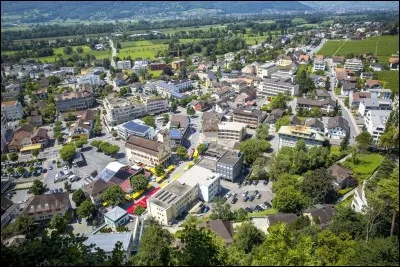 Quelle minuscule principaut&eacute; alpine a &eacute;t&eacute; oubli&eacute;e par les Allemands en 1866 pour rester ind&eacute;pendante depuis ?