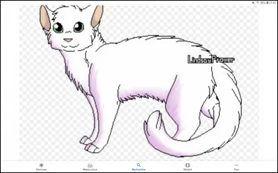 Quel est le nom de guerrier de la fille de Cur Blanc et Flocon de Neige ?