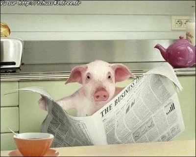 Que fait cet animal ?