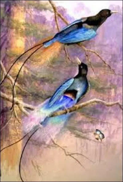 Au loto, série gagnante de cinq cases remplies sur une ligne horizontale.