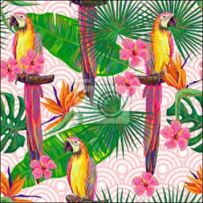 En botanique, adjectif qualifiant les feuilles qui sont disposées cinq par cinq :