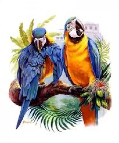 En physique, cette particule élémentaire forme les protons et les neutrons.