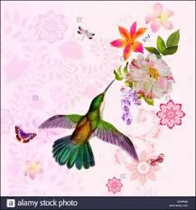 Courtepointe au Québec :