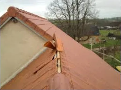 Quelques _________ se sont envolées hier lors d'un violent coup de vent.