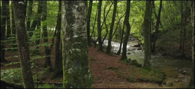 Bien, maintenant une question basique mais essentielle : aimerais-tu travailler à l'extérieur ?