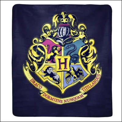 Quelle est ta maison ?