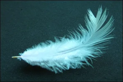 Quelle est ta matière préférée ?