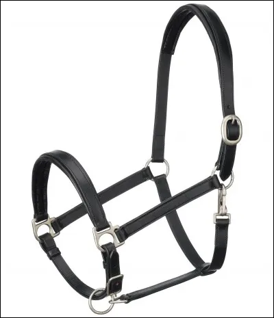 Laquelle de ces parties n'est pas une partie du licol ?