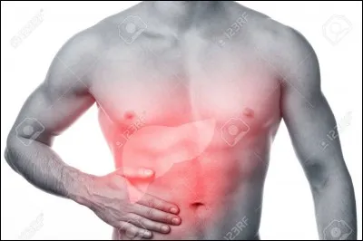 Sélectionne l'aliment connu pour garder son foie en parfaite santé :