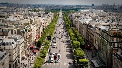 Dans quelle ville l'avenue des Champs-Elysées se trouve-t-elle ?