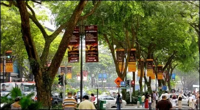 Dans quelle ville Orchard Road se trouve-t-elle ?