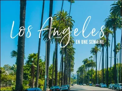 Kim Basinger a joué dans le film...