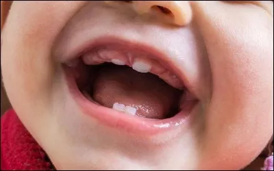 Quel est le titre de ce long-métrage de Steven Spielberg ?