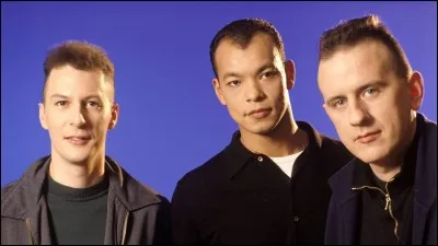 ''She Drives Me Crazy'' est une chanson du groupe Fine Young Cannibals, originaire de la 2e ville la plus peuplée d'Angleterre après Londres. Quel est son nom ?