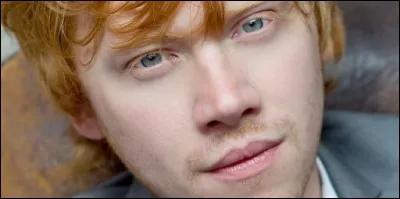 Quel est le nom du meilleur ami de Harry Potter ?