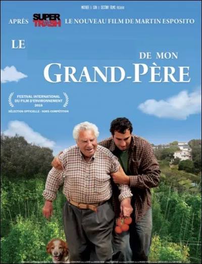 Quel est ce film ?