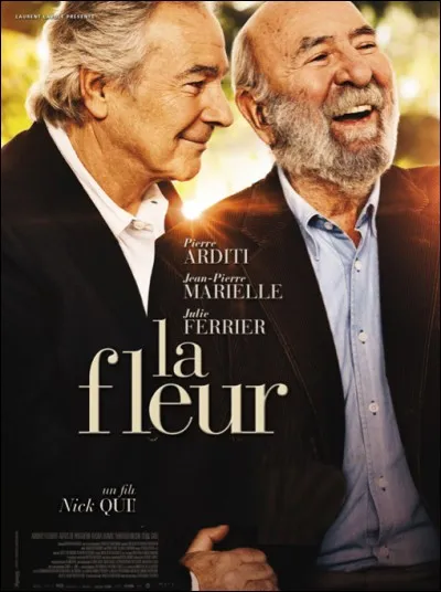 Quel est ce film ?