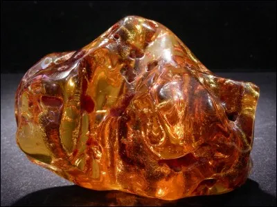 Qu'est-ce que l'ambre ?